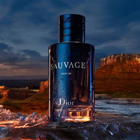 dior eau savage 100 ml|sauvage parfum best price.